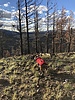 photo thumbnail #3