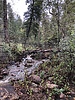 photo thumbnail #2