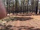 photo thumbnail #11
