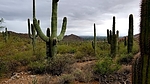 photo thumbnail #2