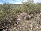 photo thumbnail #10