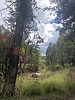 photo thumbnail #13