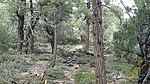 photo thumbnail #11