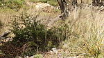 photo thumbnail #12