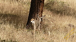 photo thumbnail #15