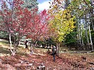 photo thumbnail #6