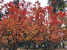 photo thumbnail #14
