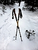 photo thumbnail #12