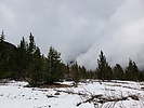 photo thumbnail #14