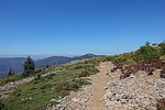 photo thumbnail #15