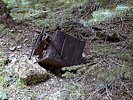 photo thumbnail #14