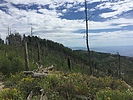 photo thumbnail #1