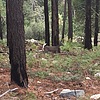 photo thumbnail #4