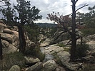 photo thumbnail #7