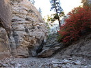 photo thumbnail #12
