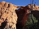 photo thumbnail #11