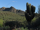 photo thumbnail #2