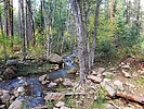 photo thumbnail #8