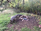photo thumbnail #7