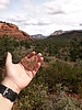 photo thumbnail #6