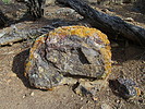 photo thumbnail #10