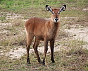 Featured Full Photo