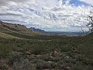 photo thumbnail #1
