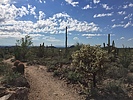 photo thumbnail #6
