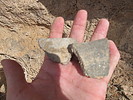 photo thumbnail #4