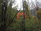 photo thumbnail #6