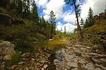photo thumbnail #2
