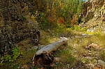 photo thumbnail #8