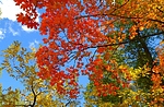 photo thumbnail #9