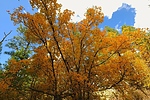 photo thumbnail #11