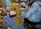 photo thumbnail #12