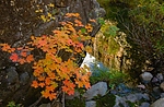 photo thumbnail #13