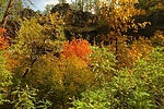 photo thumbnail #15