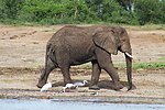 Featured Full Photo