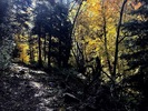 photo thumbnail #6