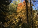 photo thumbnail #8