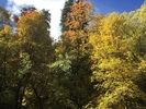 photo thumbnail #9