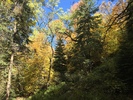 photo thumbnail #11