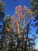 photo thumbnail #12