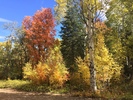 photo thumbnail #13
