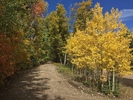 photo thumbnail #14