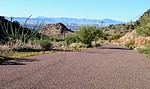 photo thumbnail #4