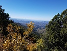 photo thumbnail #5