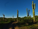 photo thumbnail #7