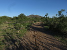 photo thumbnail #9