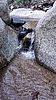 Featured Detail Photo
